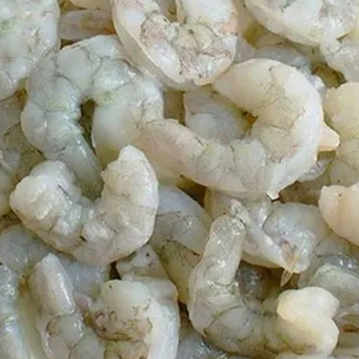 Fresh Frozen Vannamei White Shrimp