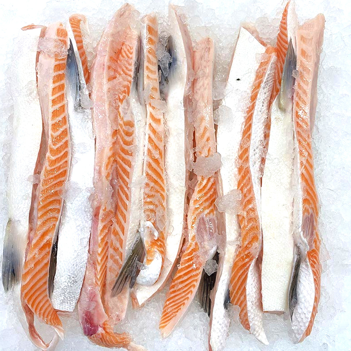 Frozen Salmon Belly