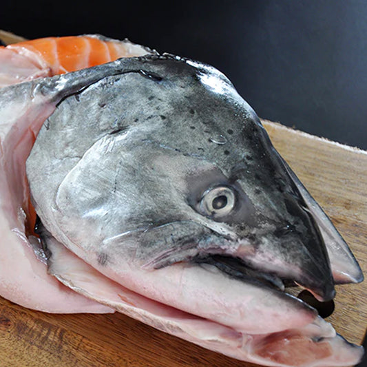 Frozen Atlantic Salmon Head