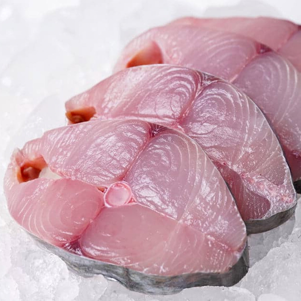 Frozen Pacific Sierra - Tanigue Steak – seafreshtrading